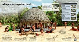 Традиційні полінезійські поселення