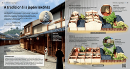 Традиційний японський будинок (Матія)