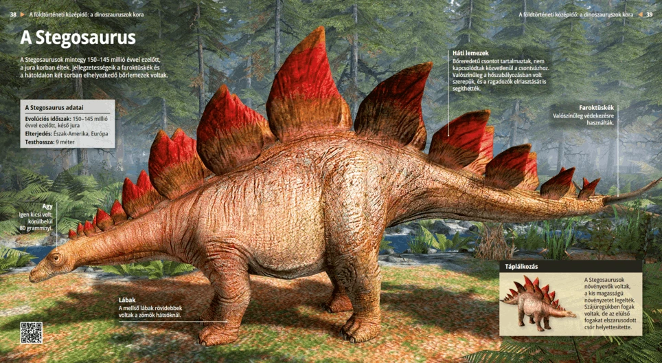 Stegosaurus
