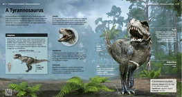 Tyrannosaurus Rex
