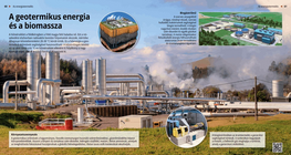 Geothermal Energy and Biomass