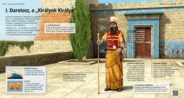 Darius I, King of Kings