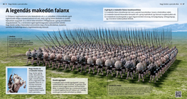 The Macedonian Phalanx