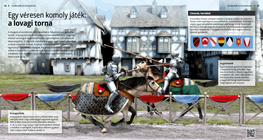 A Deadly Serious Game: the Joust