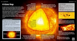 The Blazing Sun