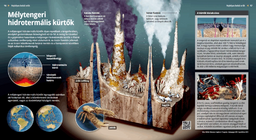 Deep Sea Hydrothermal Vents