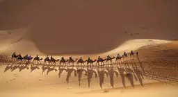 Приєднуйтесь до каравану!