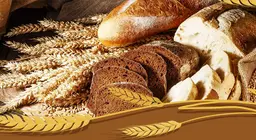 Від зерна до хліба