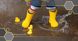 Гума