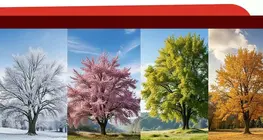Seasons 季节