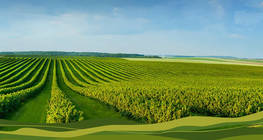 Plough wisely – the secrets of contour ploughing