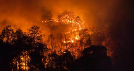 Globális felmelegedés vs. klímaváltozás? 