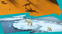 Чому на Землі є пустелі та льодовики?