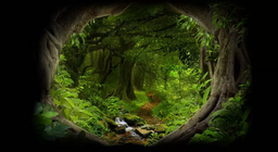 Непрохідні джунглі