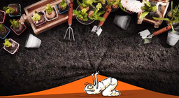 Як змінюється життя в саду?