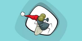 Де ховаються мухи взимку?