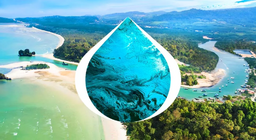 Подорож від витоку до гирла