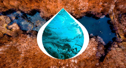 Формування та розвиток озер