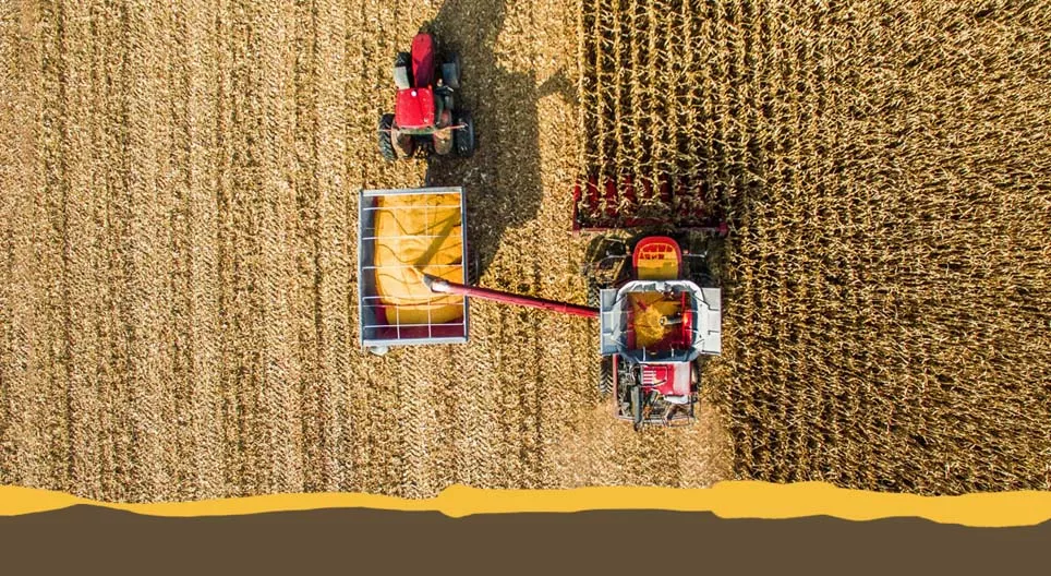 Оброблювані культури