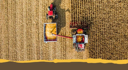 Оброблювані культури