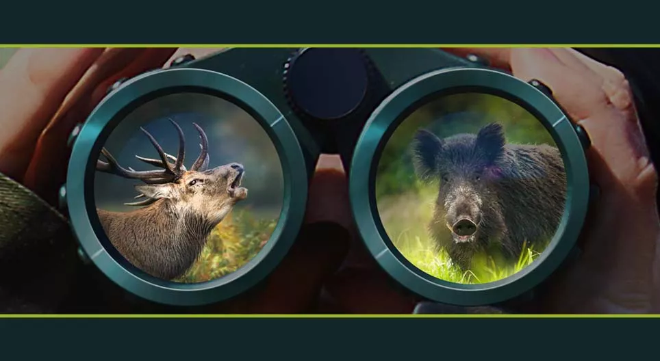 Лісові звірі