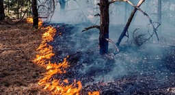 Скільки часу ми використовуємо вогонь?