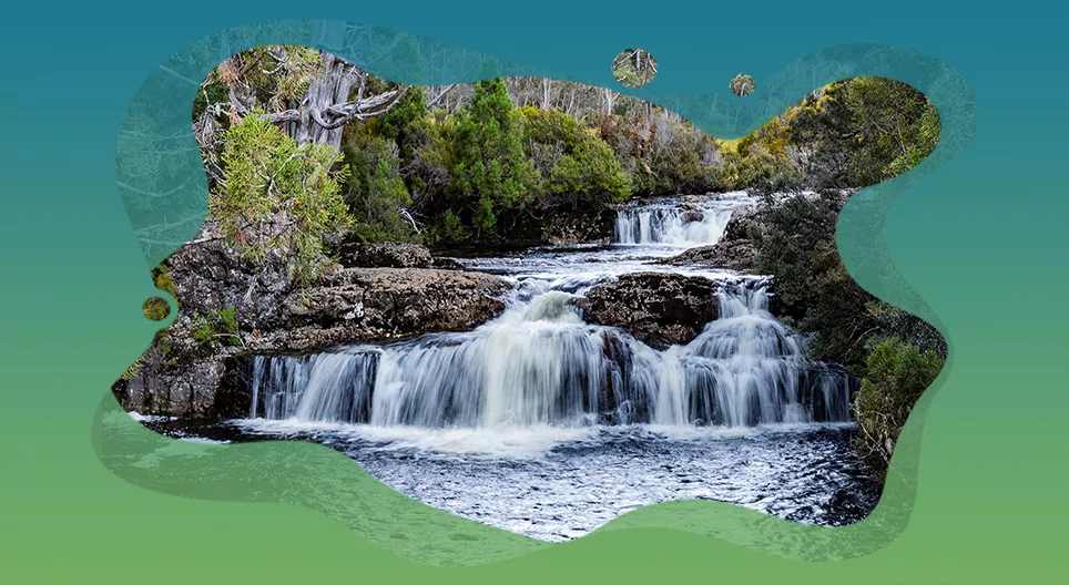 Різноманітність водного світу