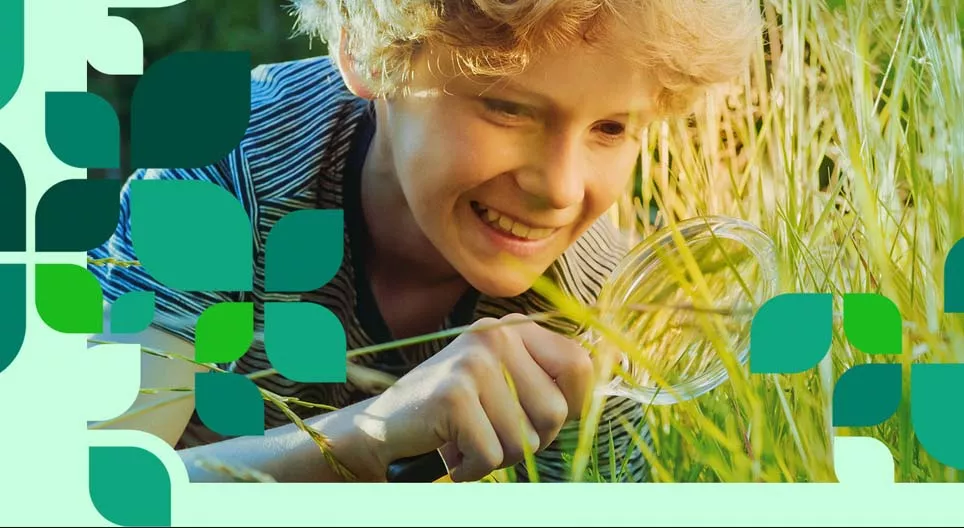 Живий світ рівнин