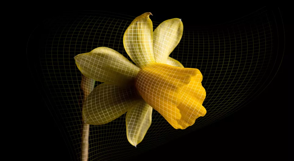 Секрети Всесвіту, який розширюється