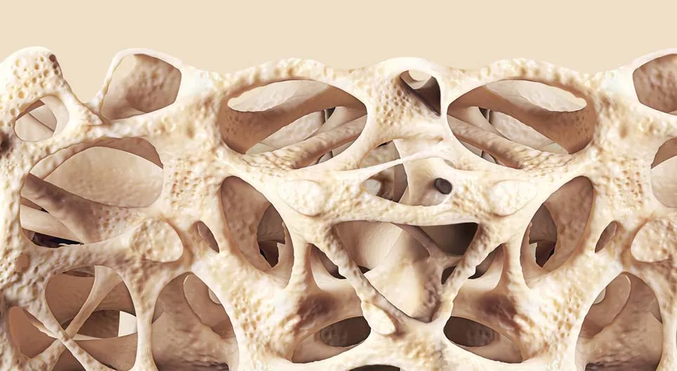 Сполучна тканина