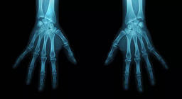 Станьте судовим антропологом