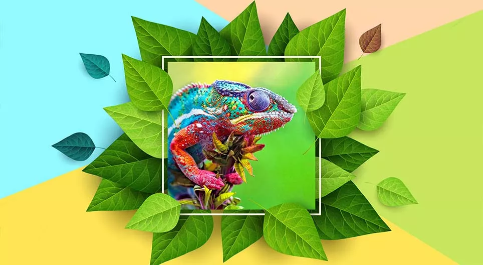 Ті, що змінюють свої кольори у природі
