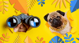 Ви також це бачите?