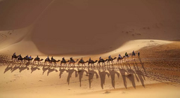 Приєднуйтесь до каравану!