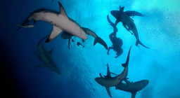 Давайте заглибимося!