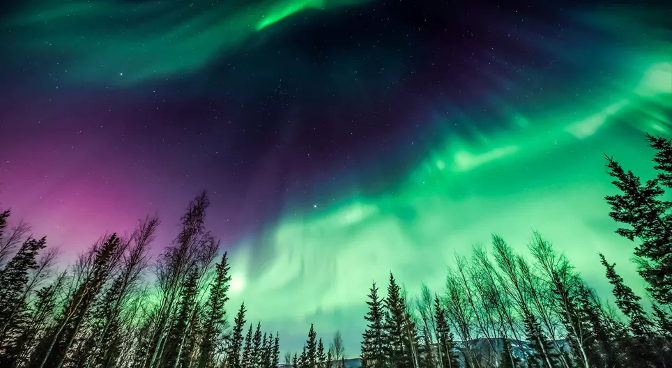 Подивімося на полярні сяйва!