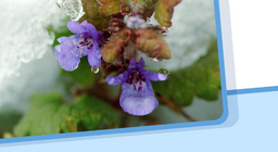 Агрегатні стани, зміна станів