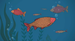 Чи п'є риба воду?