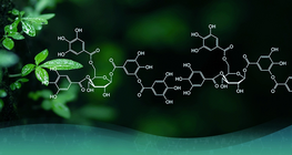 Розвиток органічної хімії
