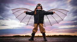 Як люди підкорювати повітря?