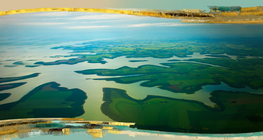 Це Амазонка