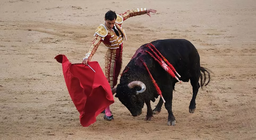 Як бик бачить червоний плащ матадора? – Зір тварин