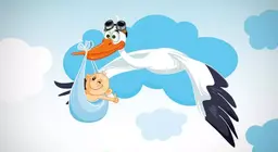 Чи справді немовлят приносять лелеки?