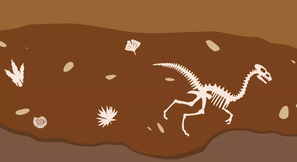 Як розвивалося життя на Землі?