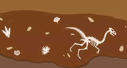 Як розвивалося життя на Землі?