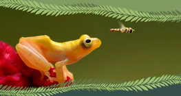 Хребетні чи безхребетні?