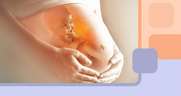 Що відбувається з організмом жінки під час вагітності?