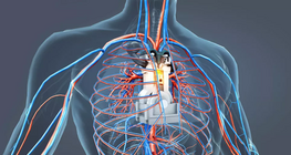 Двигун людського тіла