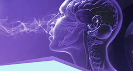 Сенсори та рецептори