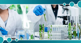 Зворотний осмос